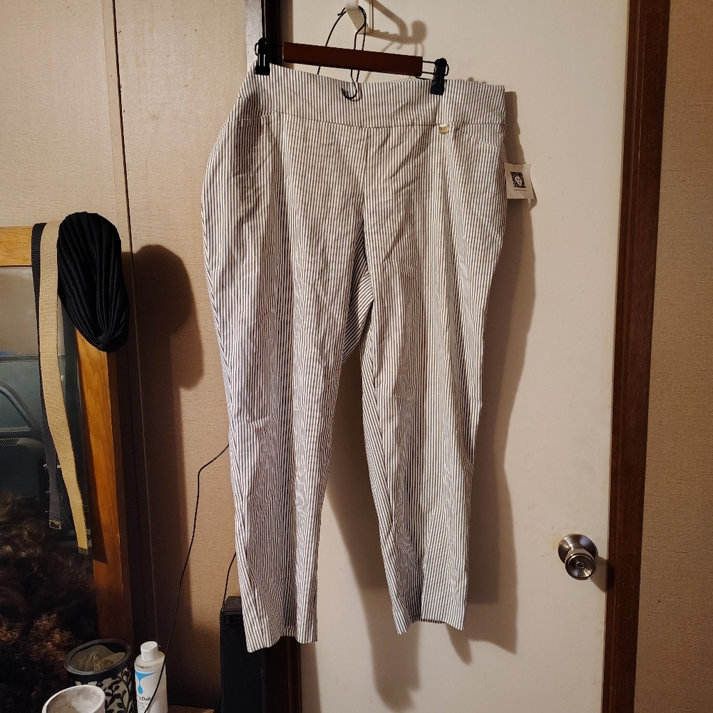 Lady's pants